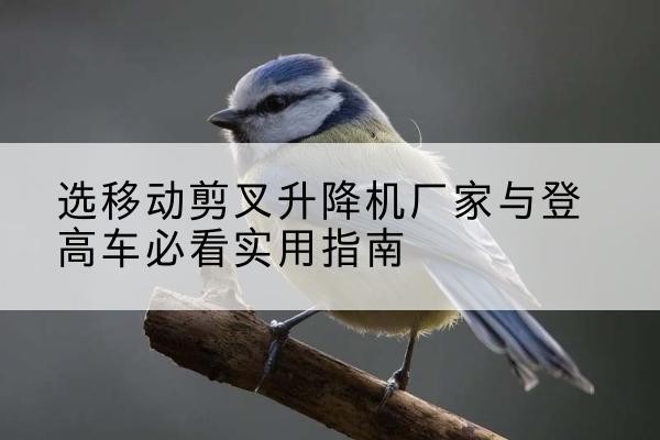 固始电动升降机厂家-选移动剪叉升降机厂家与登高车必看实用指南