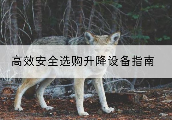 固始升降货梯厂家推荐-*安全选购升降设备指南