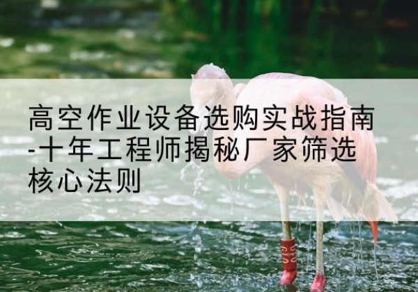 固始剪叉式升降机厂家-高空作业设备选购实战指南-十年工程师揭秘厂家筛选核心法则