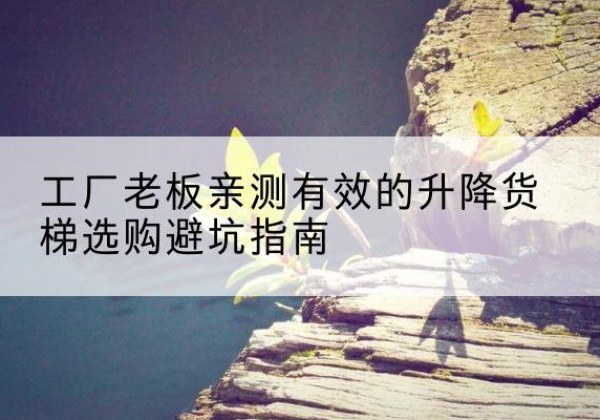 固始升降货梯怎么选-工厂老板亲测有效的升降货梯选购避坑指南